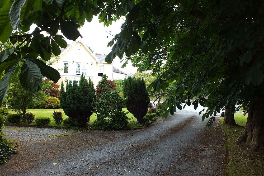 Llwyn Country House Лланелли Экстерьер фото