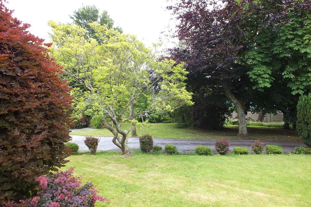Llwyn Country House Лланелли Экстерьер фото